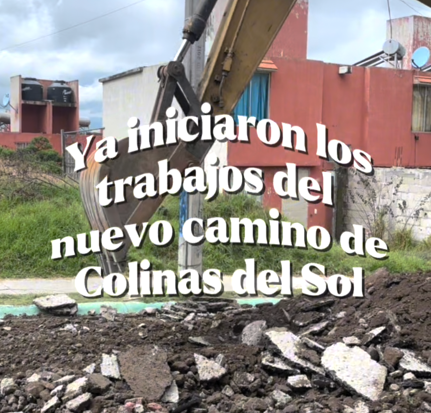 Noticia